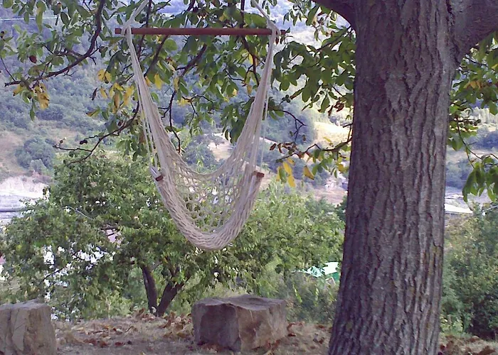 B&B Bosco Dei Cervi