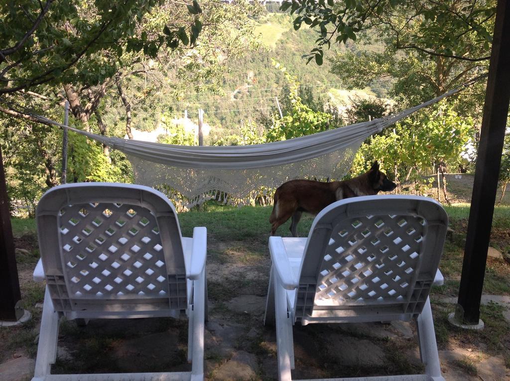 Bed and breakfast Bosco Dei Cervi Grizzana