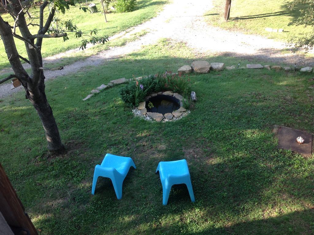 Bed and breakfast Bosco Dei Cervi
